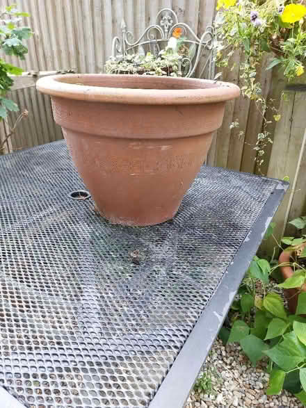 Photo of free Terracotta Pot (North Tonbridge TN10) #1