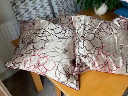 Photo of free Cushions (Thorpe End NR13) #3