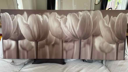 Photo of free tulip print framed picture (Collier row romford. RM5) #1