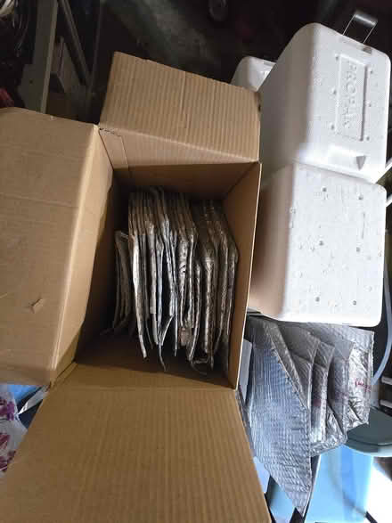 Photo of free Styrofoam coolers & insulation bags (Culver City) #2