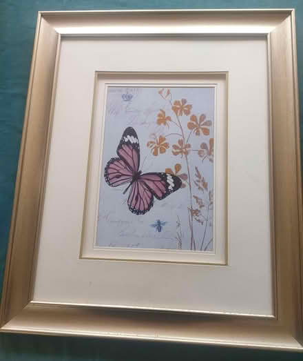 Photo of free Framed Butterfly Print (TN27) #3