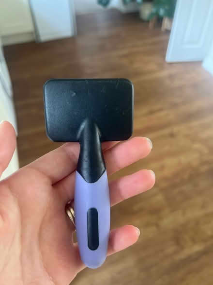 Photo of free Small animal fur brush (Stanway, CO3) #2