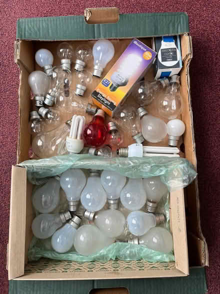 Photo of free Bayonet Light Bulbs (Selhurst CR0) #1