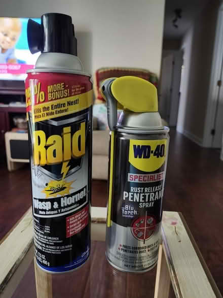 Photo of free WD-40 and Wasp & Hornet Spray (Barrington Rd & Weathersfield) #1