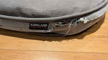 Photo of free Large dog bed (Overbrook) #2