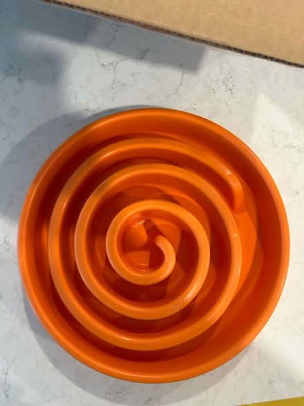 Photo of free Orange Dog Slow Feeder (Ball square Somerville) #1