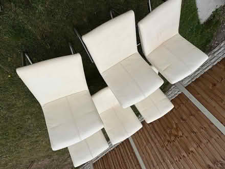 Photo of free 6 Dining Chairs (Rotherham S62) #1