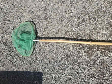 Photo of free Old fishing net (Clayton Bridge M40) #1