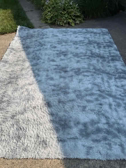 Photo of free 8’x10’ gray/silver rug (Near stadium) #1
