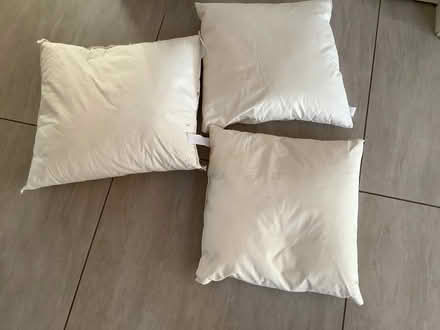 Photo of free 3 x feather cushions (Hampsthwaite HG3) #1