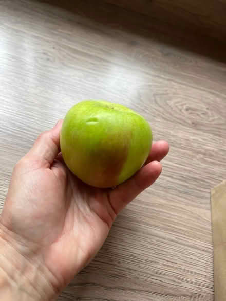 Photo of free Cooking apples (CH43) #2