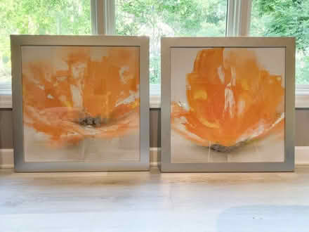 Photo of free Z gallerie framed flower print set (83rd & Mendingwall) #1