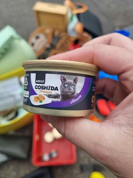 Photo of free Adult cat food mousse (St Athan CF62) #1