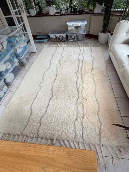 Photo of free Rug (Northborough) #1