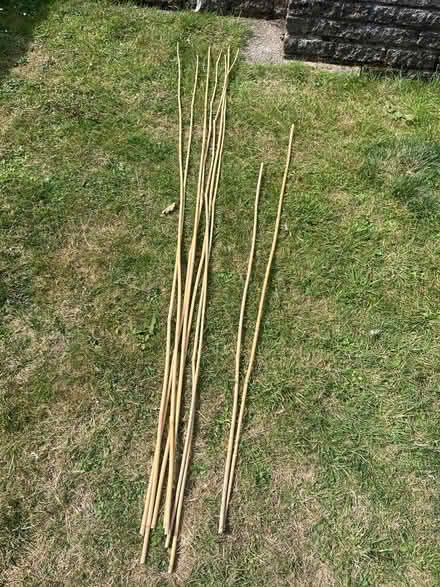 Photo of free Bamboo poles (Paulton BS39) #1