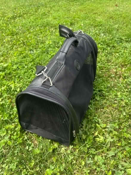 Photo of free Cat supplies (Germantown) #3