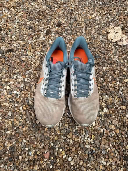 Photo of free Nike Pegasus (SE13) #1