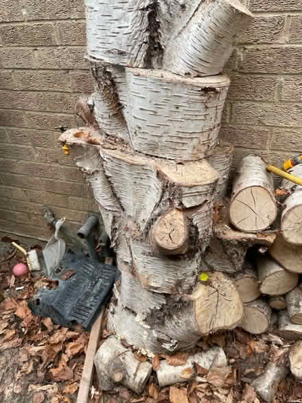 Photo of free Wood - large logs- need chopping (Marston OX3) #1