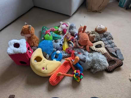 Photo of free Misc used dog toys (AL1) #1