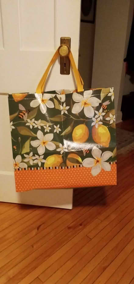 Photo of free Large shopping bag (Hintonburg) #1