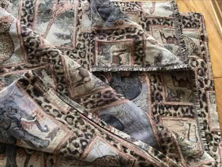 Photo of free Lovely Animal Print Material (Cheshunt En8) #3
