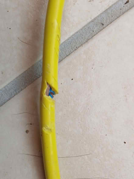 Photo of free Electric Hedge Trimmer (Hailsham BN27) #2