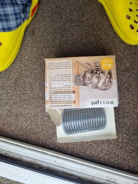 Photo of free Cat groomer (St Athan CF62) #1