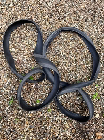 Photo of free Bike tyres (SE13) #1