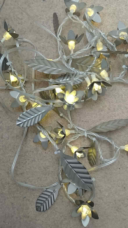 Photo of free Metal leaf and flower fairy lights (indoor use) (Weston) #2