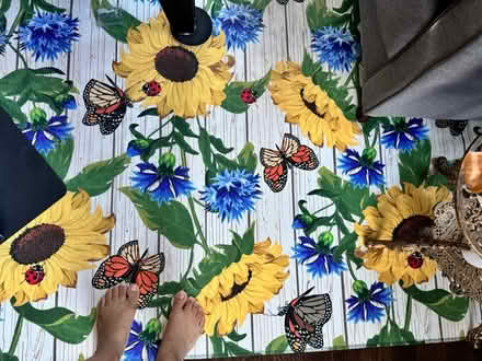 Photo of free Area rug (Franklin Park) #1