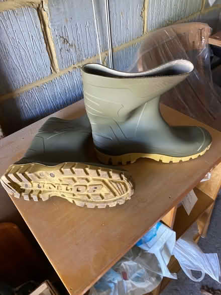 Photo of free Ladies wellingtons size 7 (Swanley BR8) #1