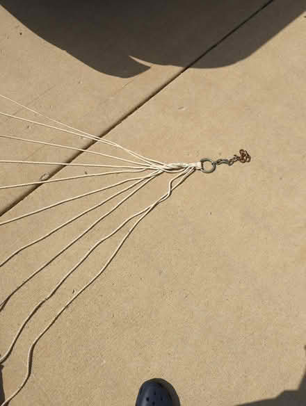 Photo of free Hammock - 4.5 x 7 feet (Oswego) #2