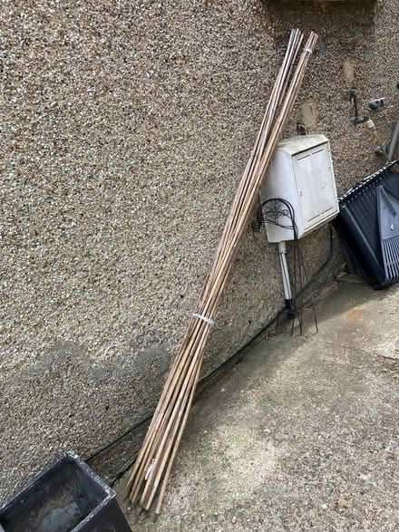 Photo of free Bamboo canes (Northchurch HP4) #1