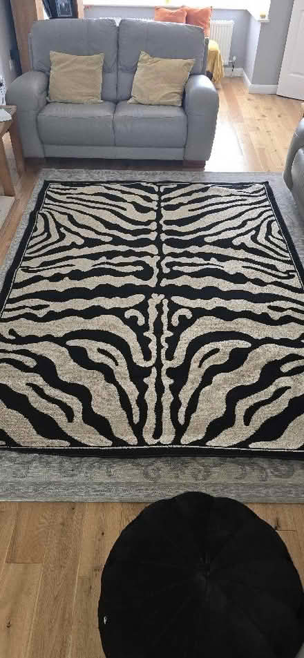 Photo of free Large rug (Meath Green RH6) #1