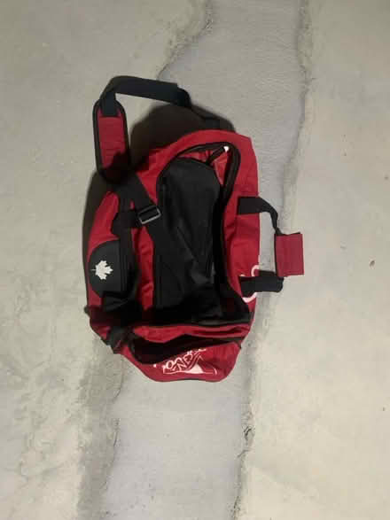 Photo of free Travel and gym bag (Markham) #4