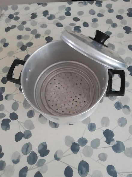 Photo of free Steamer (Weybridge KT13) #2