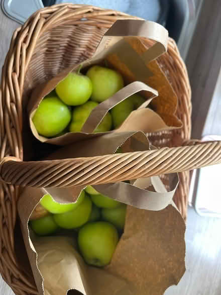 Photo of free Cooking apples (CH43) #3