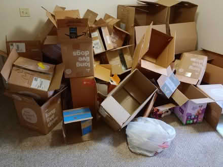 Photo of free Moving boxes (Tarpon Springs) #2