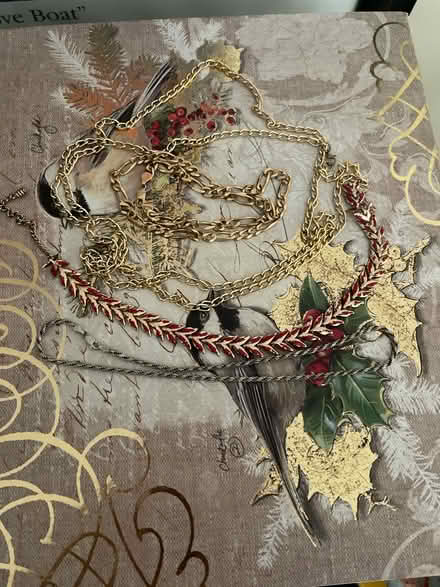Photo of free Chain Necklaces (Farmington Hills) #1
