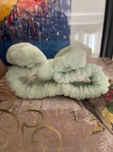 Photo of free Headband (Farmington Hills) #2