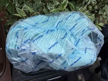 Photo of free Puppy training pads (RG7 1gx) #1