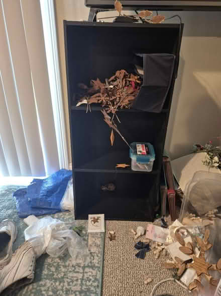 Photo of free Shelves (Tolland) #1