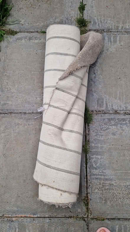 Photo of free Garden, home items (Brandhall B68) #4