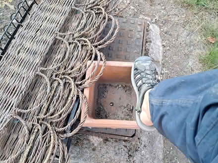 Photo of free GardenPlanting & Decorative Edging (Redditch Oakenshaw B98) #3