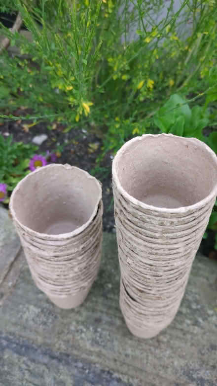 Photo of free Seeding paper pots (Low Leighton SK22) #2