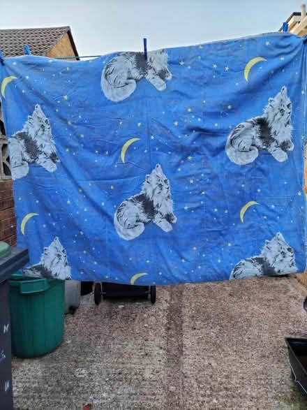 Photo of free Fluffy Cat Theme Single Duvet (Waterlooville PO7) #1