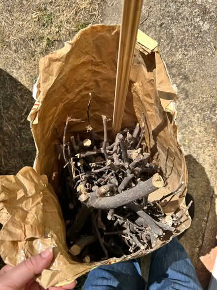 Photo of free Sack of dried cherry tree trimmings/kindling (Rodwell DT4) #1