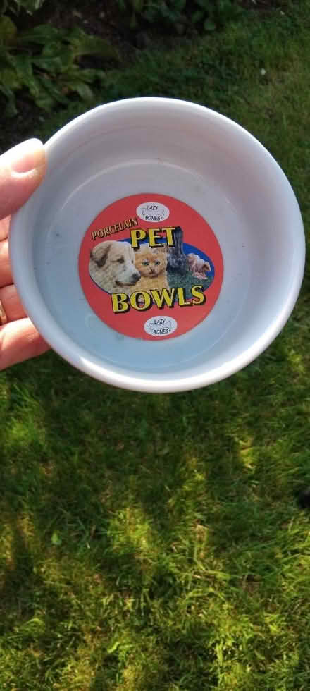 Photo of free Rabbit water bowll (Ingol PR2) #2