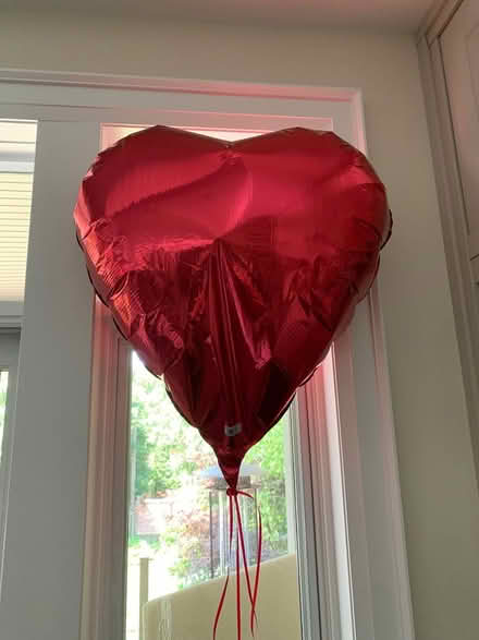 Photo of free Heart shaped balloons (Royal York and Bloor) #2