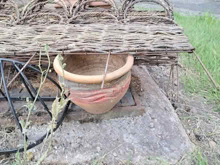Photo of free GardenPlanting & Decorative Edging (Redditch Oakenshaw B98) #4